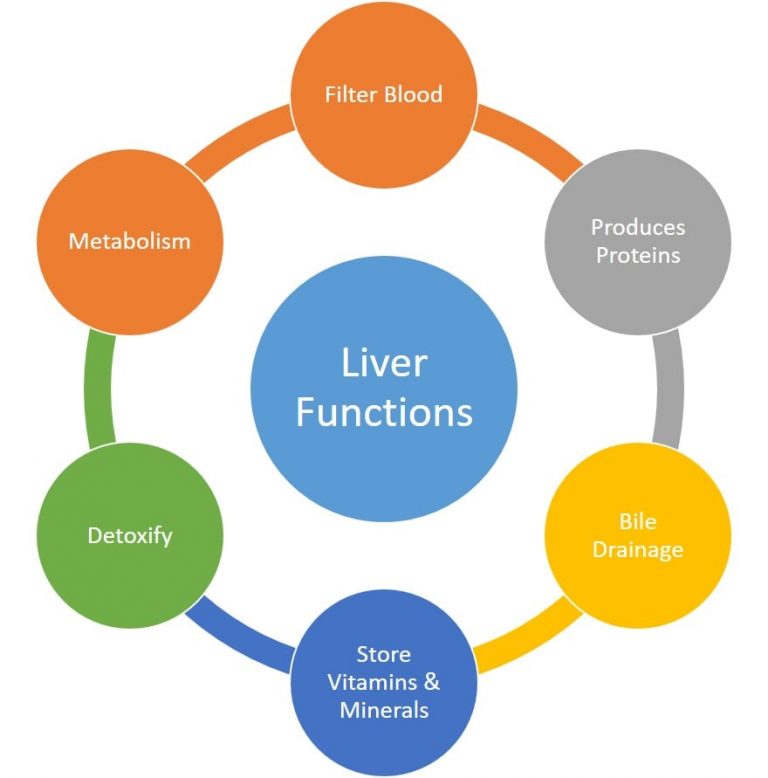 Liver Function Test LFT Test Cost Normal Values Results Rs 299 