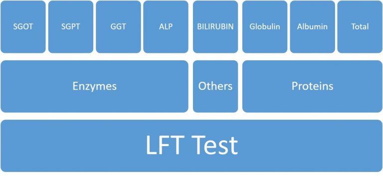 Liver Function Test LFT Test Cost Normal Values Results Rs 299 