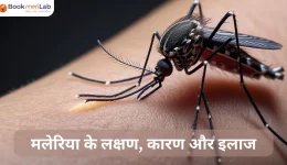 मलेरिया के लक्षण