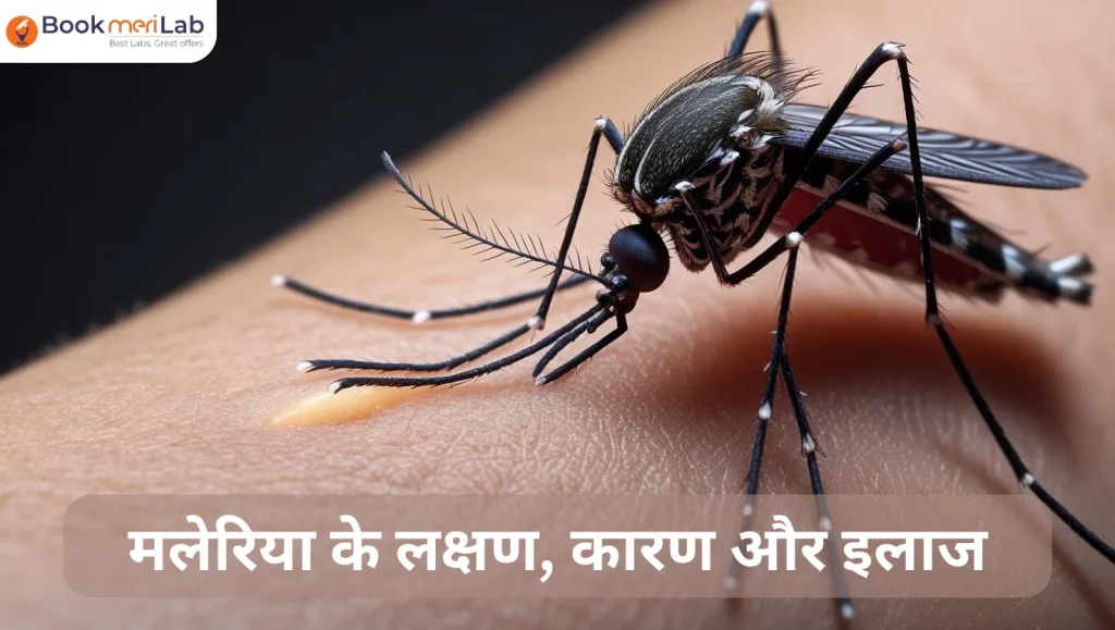 मलेरिया के लक्षण