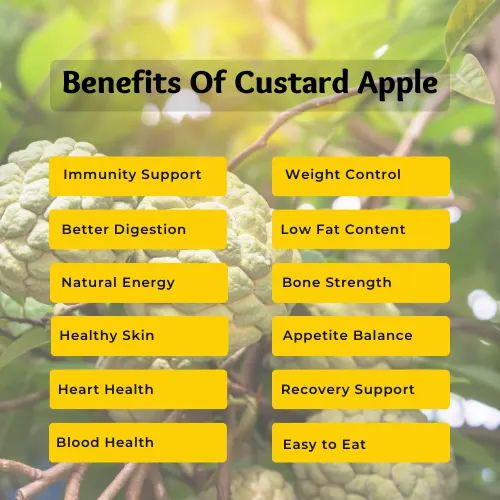 Benefits of Sitafal (Custard Apple)