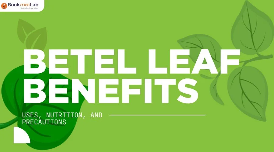 Betel Leaf Benefits Betel Leaf Benefits