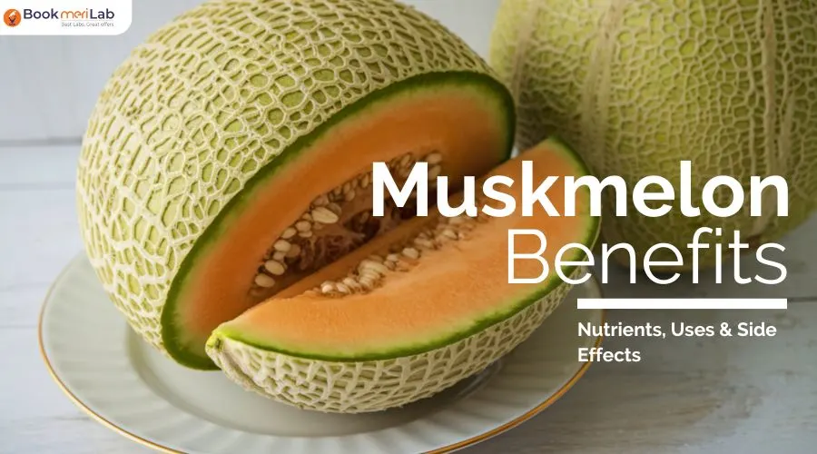 Muskmelon Benefits