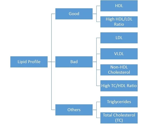 Lipid Profile Test Components