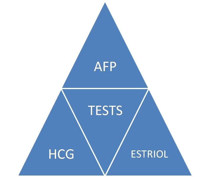 Tests Included in Triple Marker Test
