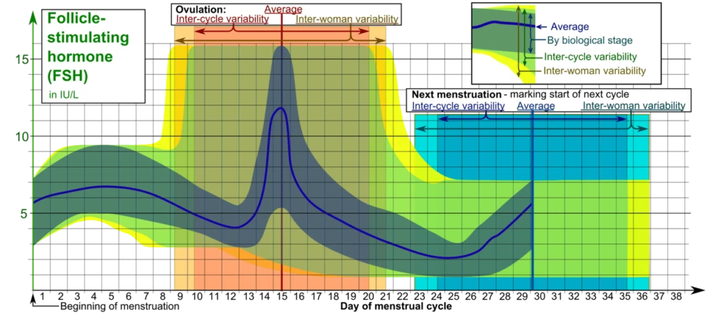 fsh test levels during menstrual cycle