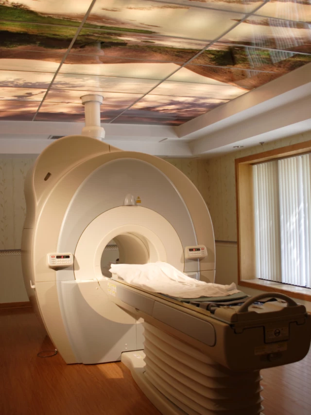 Your Veins Exposed: Understanding MRI Fistulogram