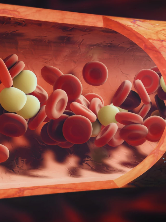 Feeling Tired? Check Your Iron Levels with an Iron Profile Test