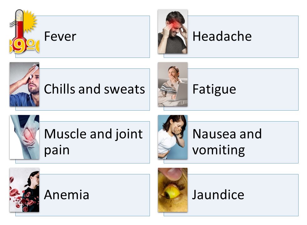 symptoms
