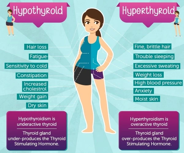 tsh test purpose and symptoms
